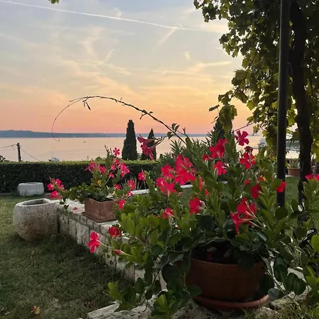 Solare Portoroz